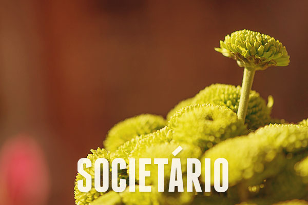 Gestão Societária