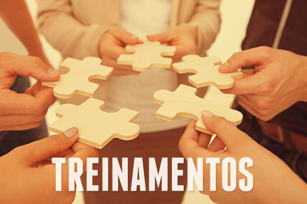 Treinamentos
